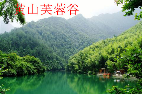 黄山芙蓉谷